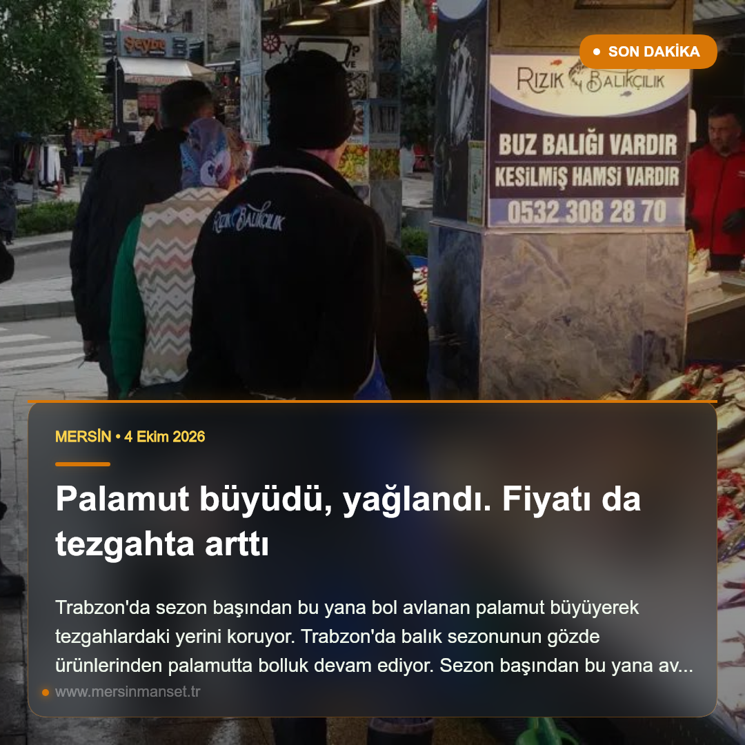 Palamut büyüdü, yağlandı. Fiyatı da tezgahta arttı